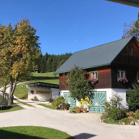 Ferienhaus Zwickelreith Göstling an der Ybbs Dış mekan fotoğraf