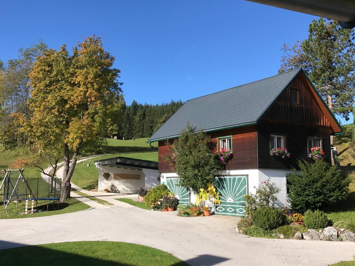 Ferienhaus Zwickelreith Göstling an der Ybbs Dış mekan fotoğraf
