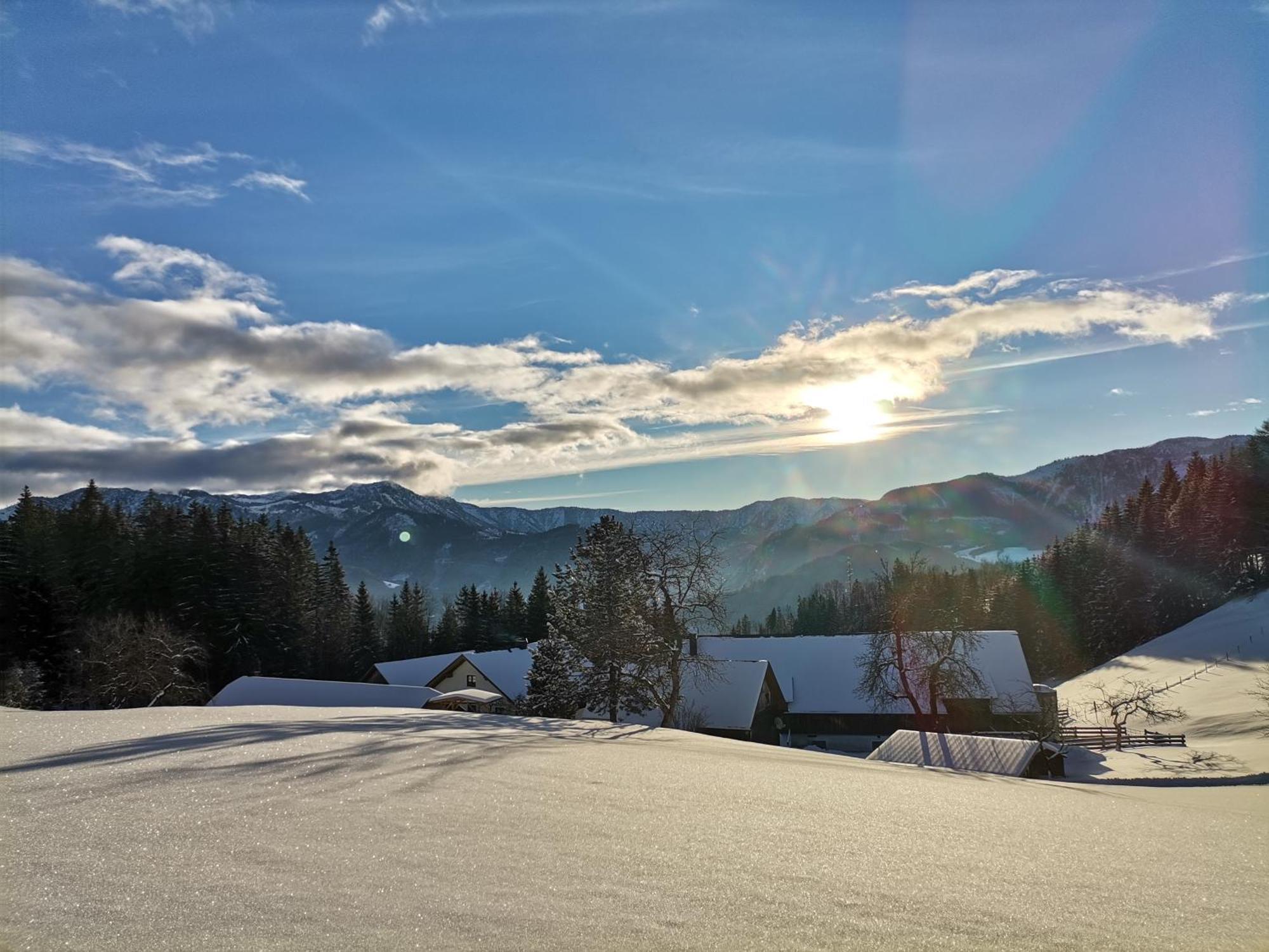 Ferienhaus Zwickelreith Göstling an der Ybbs Dış mekan fotoğraf